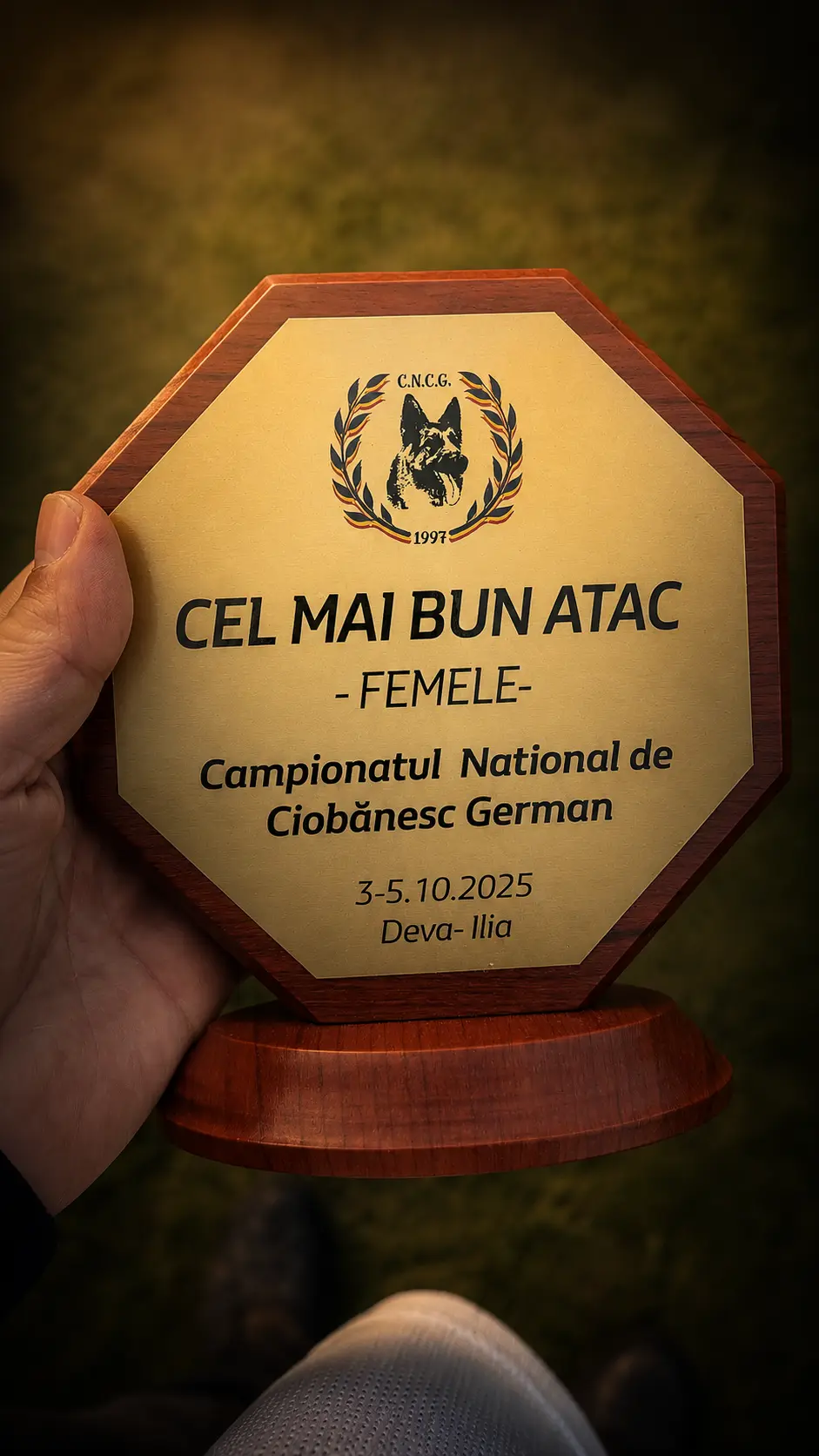 Kelliy von Hingabe — Sieger Show Romania trophy, National Championship 2025