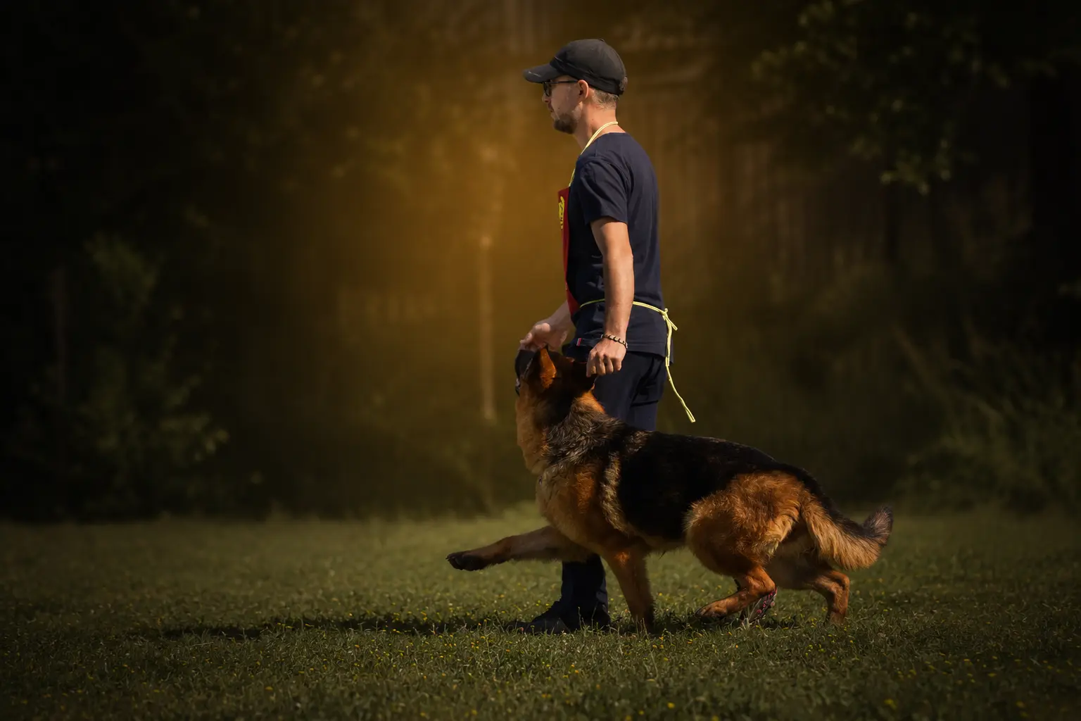 Casa Arancina German Shepherd kennel Brescia