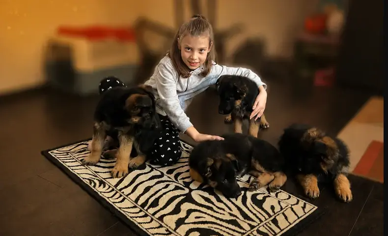 Children and the German Shepherd